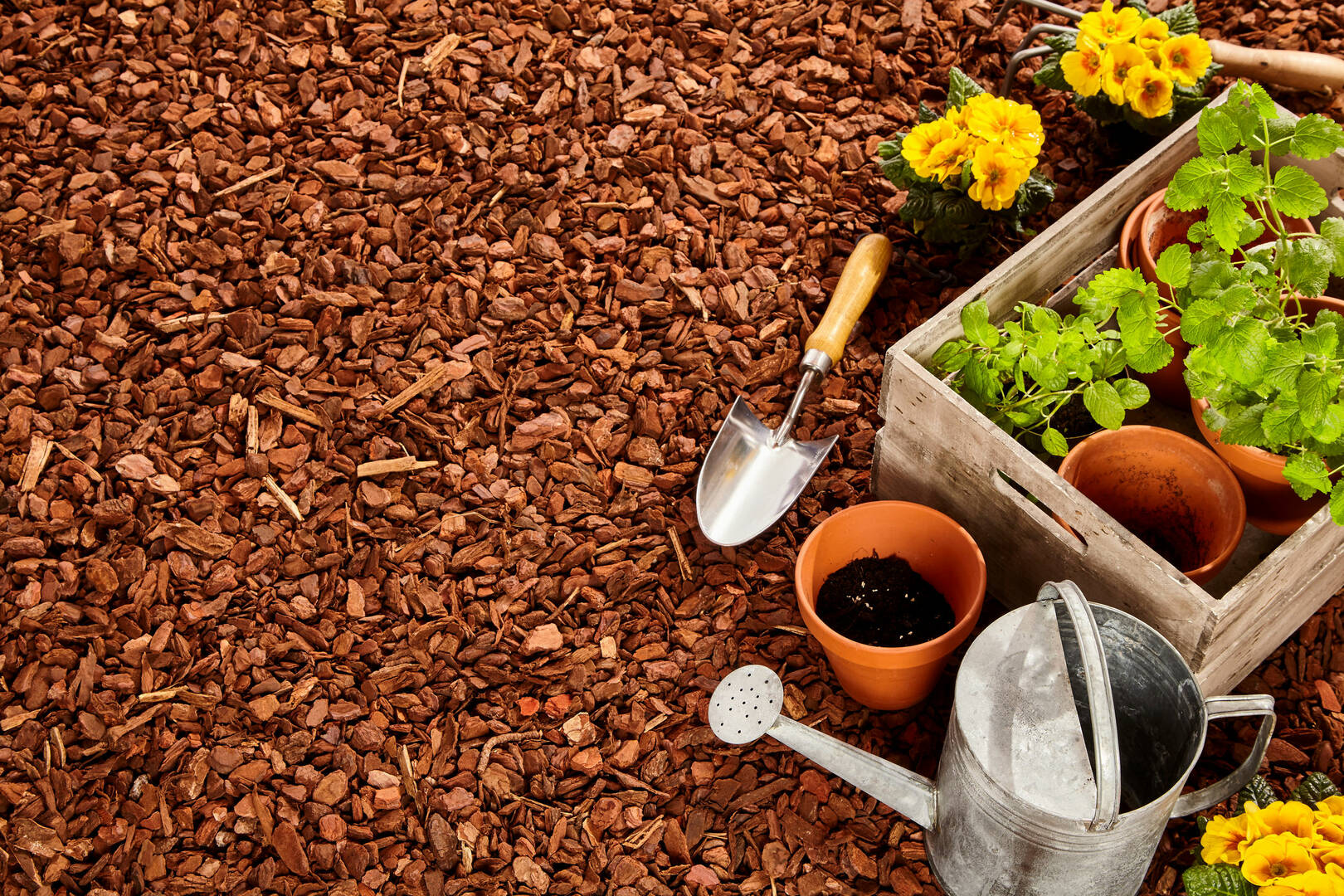 Pest Control Newport OR – pest control services