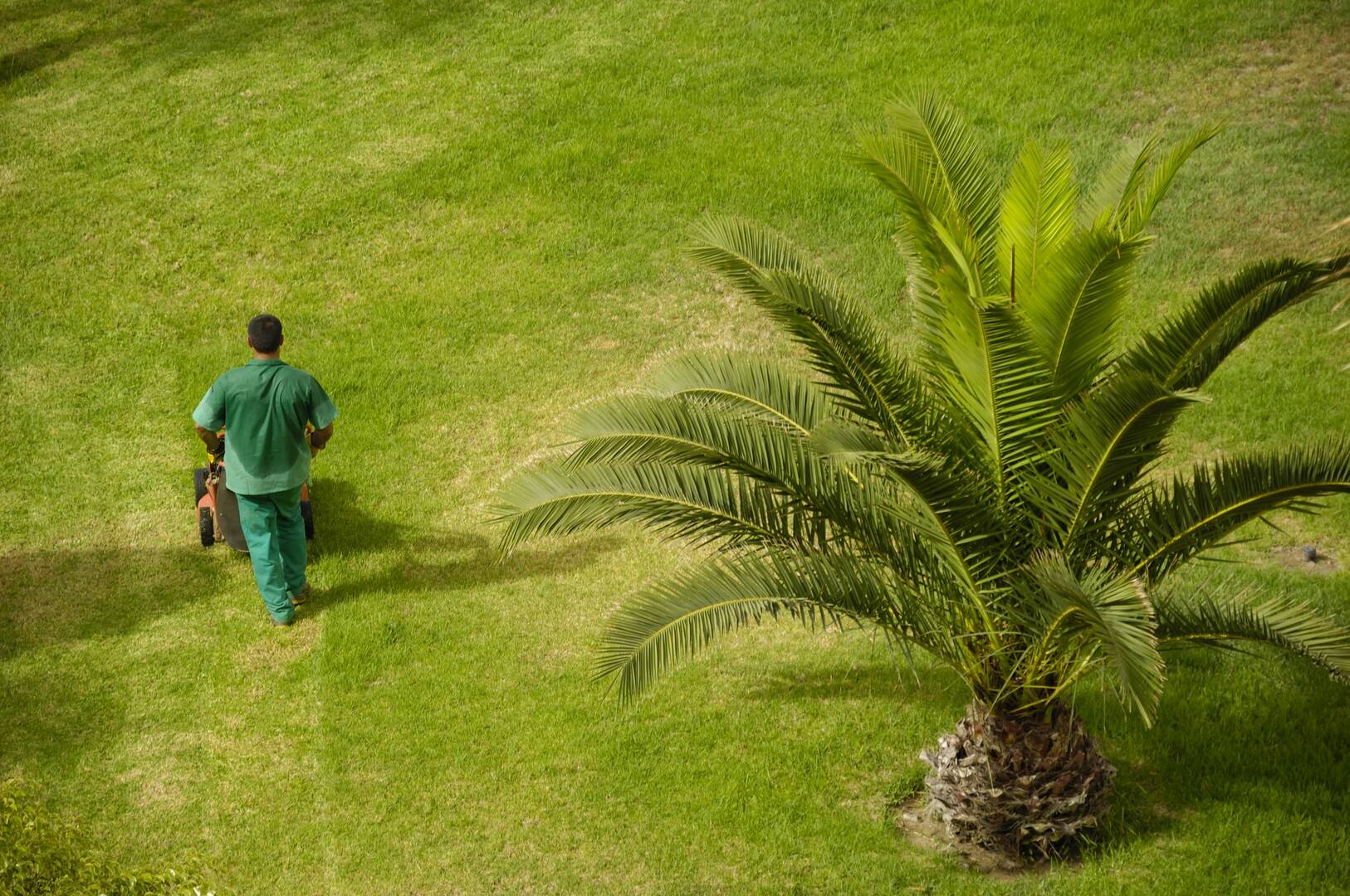 24/7 Emergency Tree Removal Pound Ridge NY